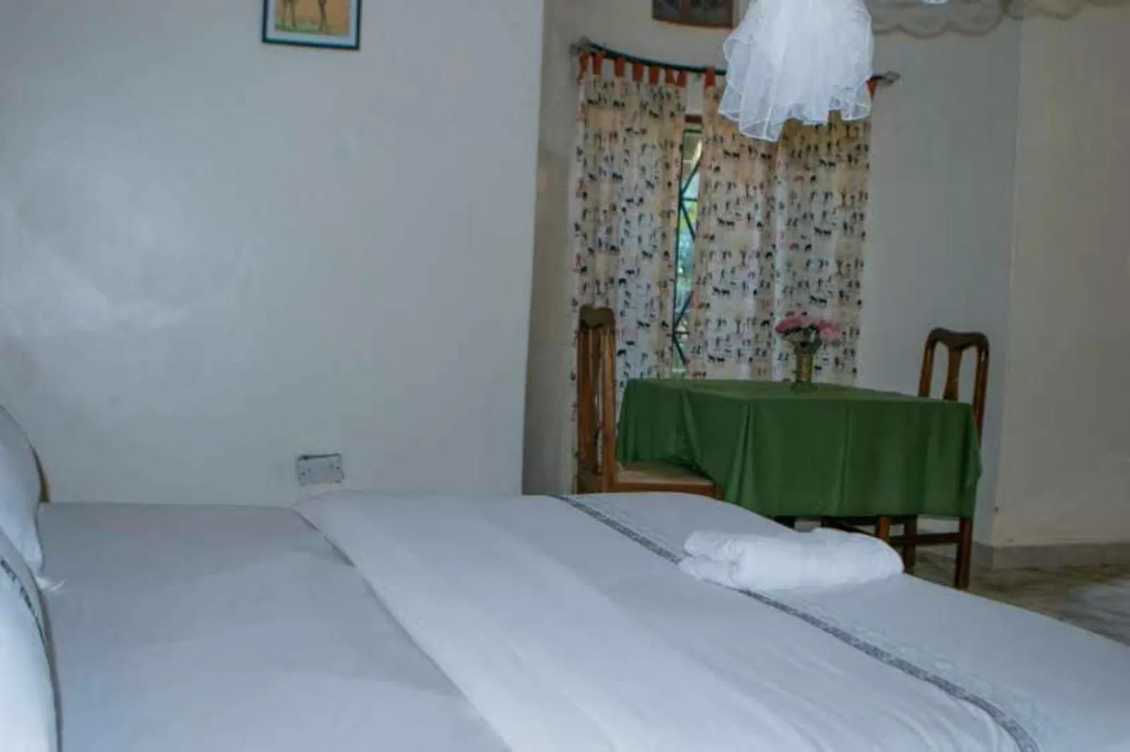 Homestay Alice Gardens And Campsite Entebbe