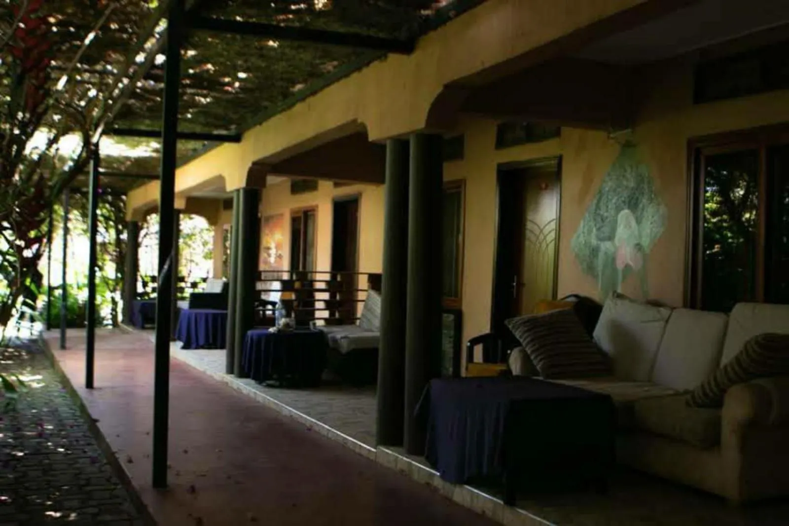 Alice Gardens And Campsite Entebbe Uganda